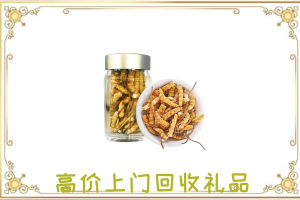 宁县周边回收虫草